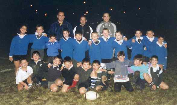 MARMOUSETS (1)b.jpg (19626 octets)